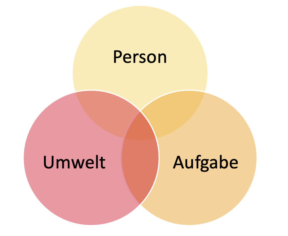 Situationskomponenten der Handlung, Person, Umwelt, Aufgabe
